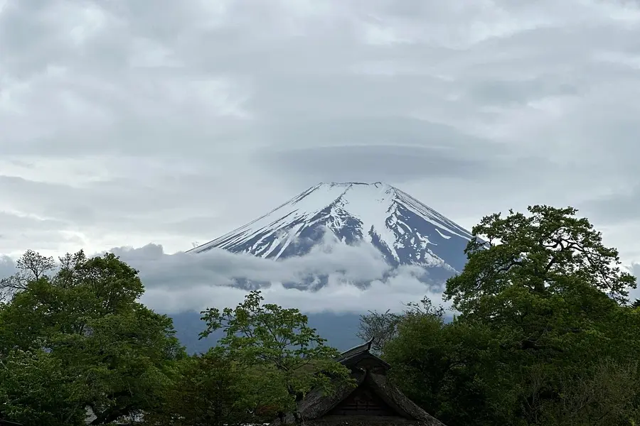 Achtsamkeitstraining und Waldbaden am Ursprung des Shinrin Yoku in Japan