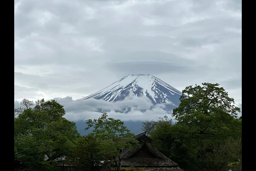 Achtsamkeitstraining und Waldbaden am Ursprung des Shinrin Yoku in Japan