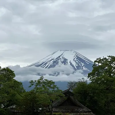 Achtsamkeitstraining und Waldbaden am Ursprung des Shinrin Yoku in Japan