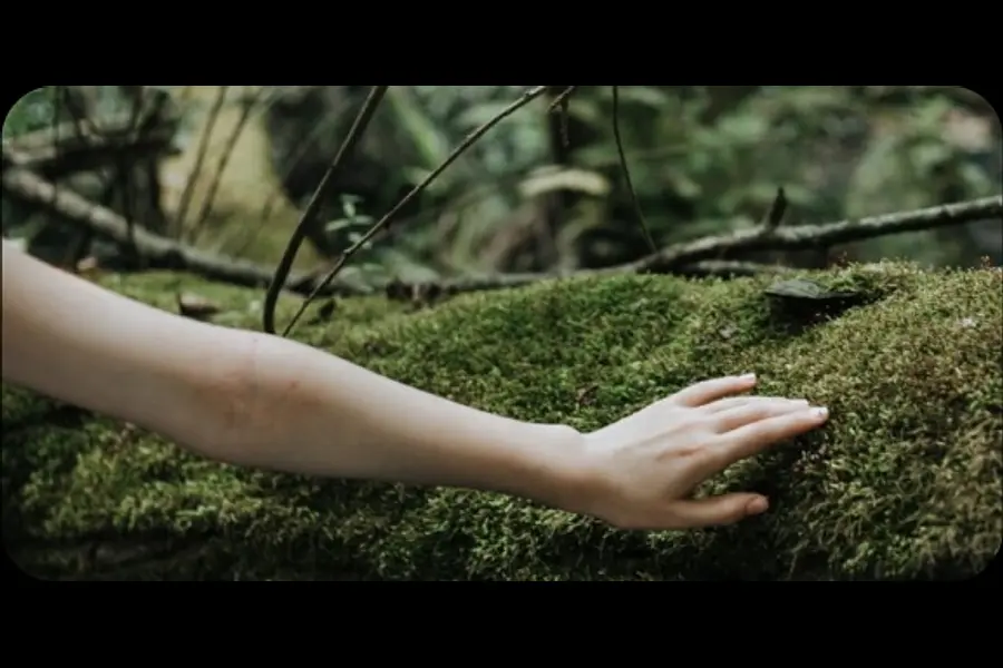 Kursleiter*in Waldbaden mit Senioren - Schwerpunkte Trauerbewältigung, Hospizbegleitung, Menschen mit Demenz Kursleiter*in Waldbaden mit Senioren - Schwerpunkte Trauerbewältigung, Hospizbegleitung, Menschen mit Demenz