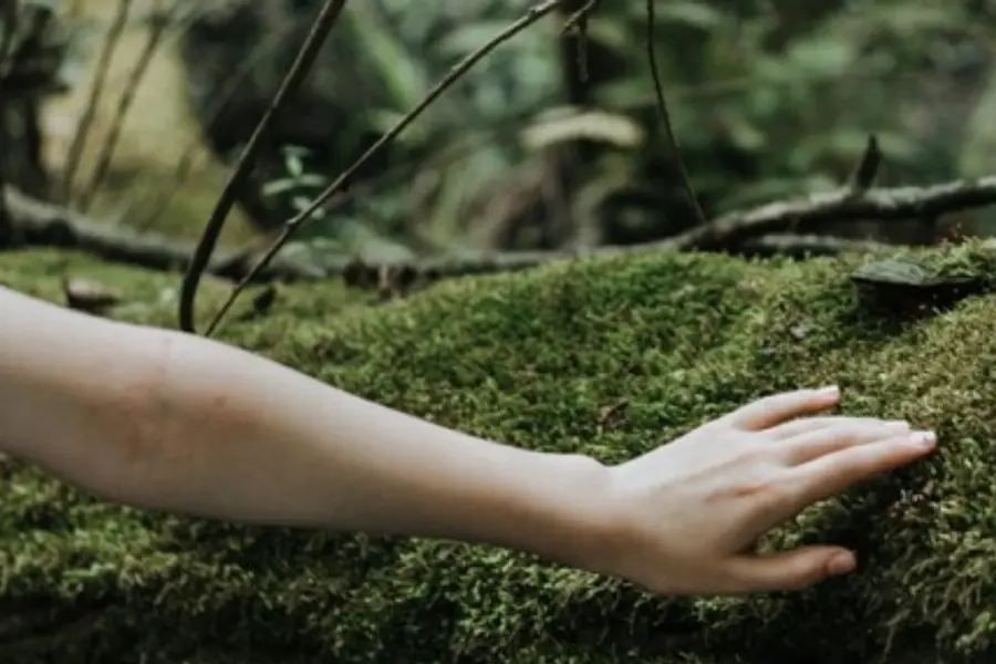 Kursleiter*in Waldbaden mit Senioren - Schwerpunkte Trauerbewältigung, Hospizbegleitung, Menschen mit Demenz