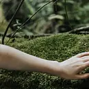 Kursleiter*in Waldbaden mit Senioren - Schwerpunkte Trauerbewältigung, Hospizbegleitung, Menschen mit Demenz