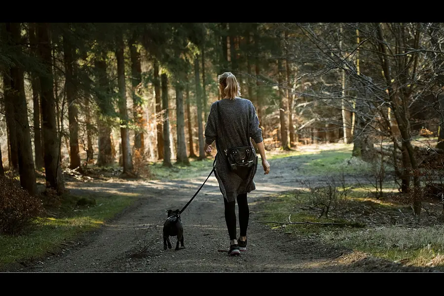 Kursleiter*in Waldbaden mit eigenem Hund - Der achtsame Weg in der Natur