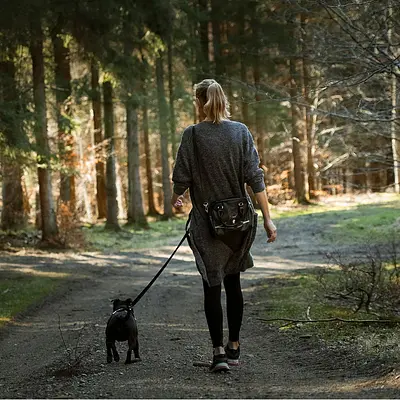 Kursleiter*in Waldbaden mit eigenem Hund - Der achtsame Weg in der Natur