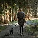 Kursleiter*in Waldbaden mit eigenem Hund - Der achtsame Weg in der Natur