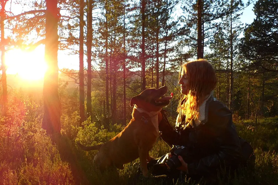 Die Natur als Raum für Stressbewältigung und Entspannung erschließen - exklusiv mit eigenem Hund