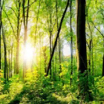 Gesundheitsförderung, Stressmanagement, und Burnoutprophylaxe (mit Autogenen Training) Gesundheitsförderung, Stressmanagement, und Burnoutprophylaxe (mit Autogenen Training)