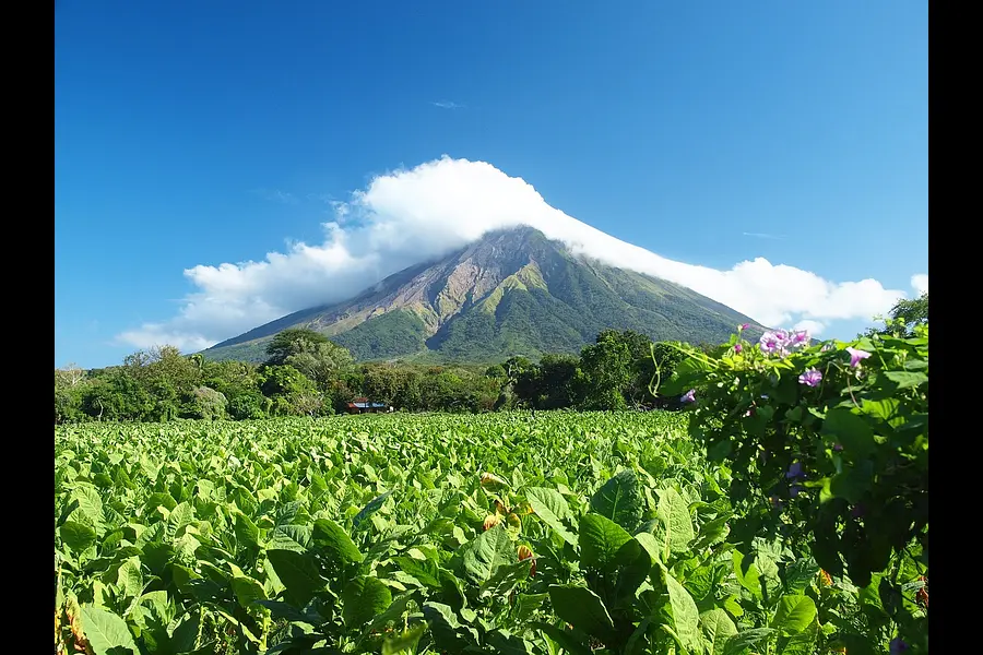 Mentale Gesundheit und Nachhaltigkeit stärken in Nicaragua