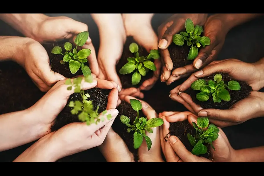 Naturcoach Naturcoach