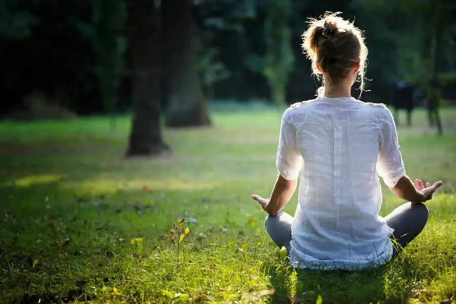 Natur-Meditationslehrer*in