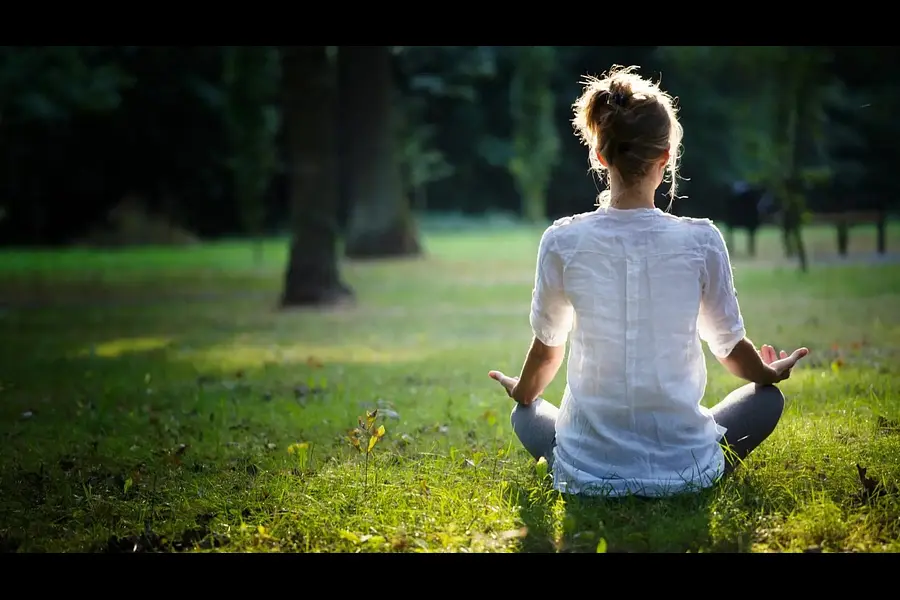 Natur-Meditationslehrer*in