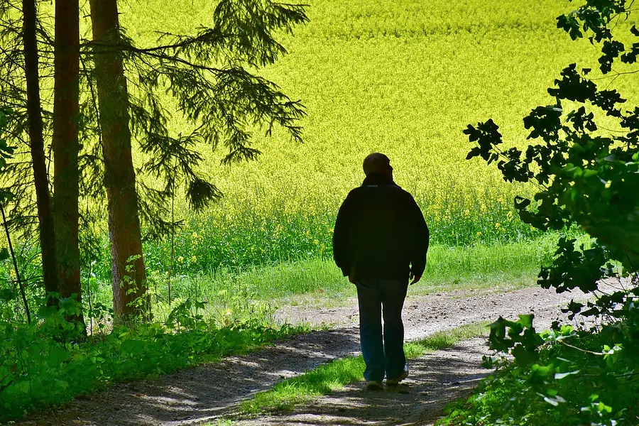 Ruhestand in Sicht - Impulse für die dritte Lebensphase (Bildungsurlaub)