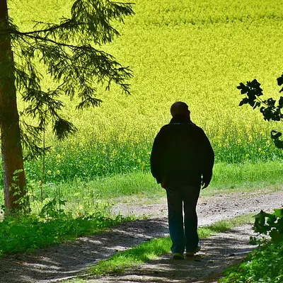 Ruhestand in Sicht - Impulse für die dritte Lebensphase (Bildungsurlaub)