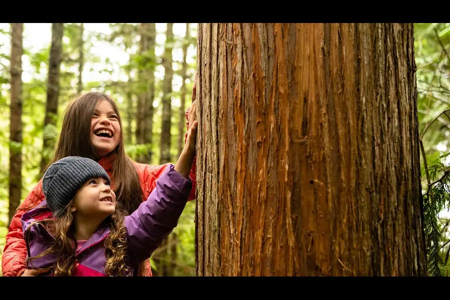 Natur-Resilienz-Trainer*in® für Kinder und Jugendliche