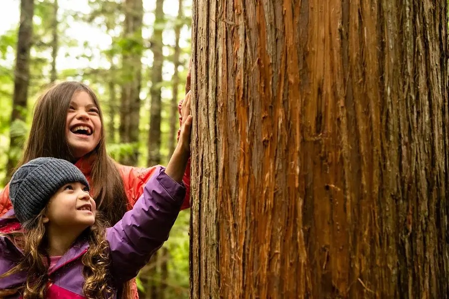 Natur-Resilienz-Trainer*in® für Kinder und Jugendliche