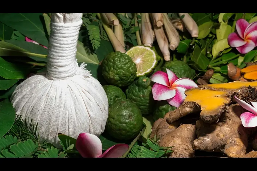 Resilienz und Ressourcen stärken durch körperliches und mentales Training - mit Autogenem Training und Ayurveda in Indien Resilienz und Ressourcen stärken durch körperliches und mentales Training - mit Autogenem Training und Ayurveda in Indien