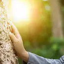 Waldbaden & Wahrnehmung in der Trauer - Die Trauer umarmen, zulassen und loslassen