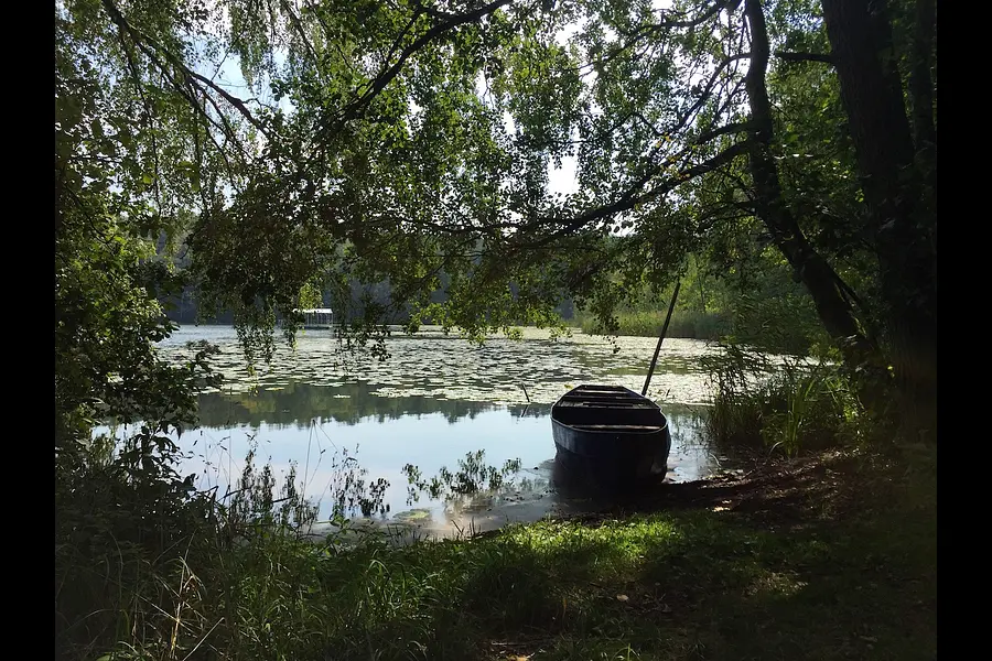 Buchingerfasten & Achtsamkeit mit Stille