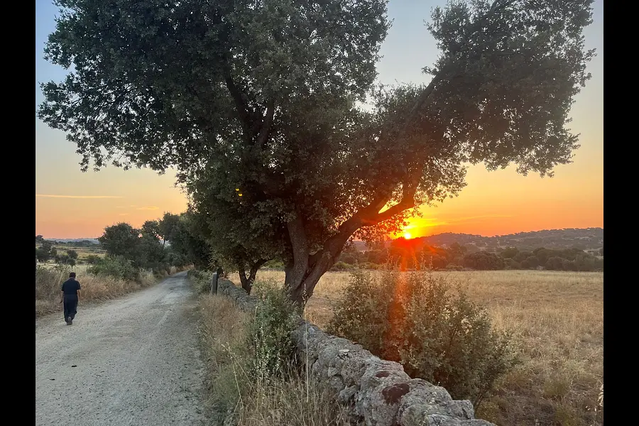 Entwickle deinen ganz persönlichen Führungsstil basierend auf deinen individuellen Stärken in Spanien Entwickle deinen ganz persönlichen Führungsstil basierend auf deinen individuellen Stärken in Spanien