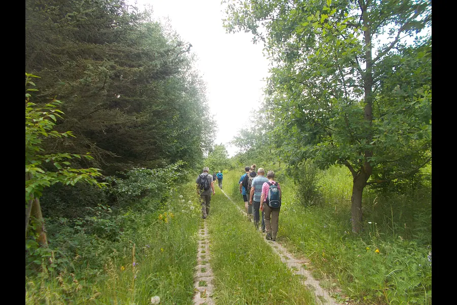 Kunst, Kultur und Kulinaritäten im Eichsfeld