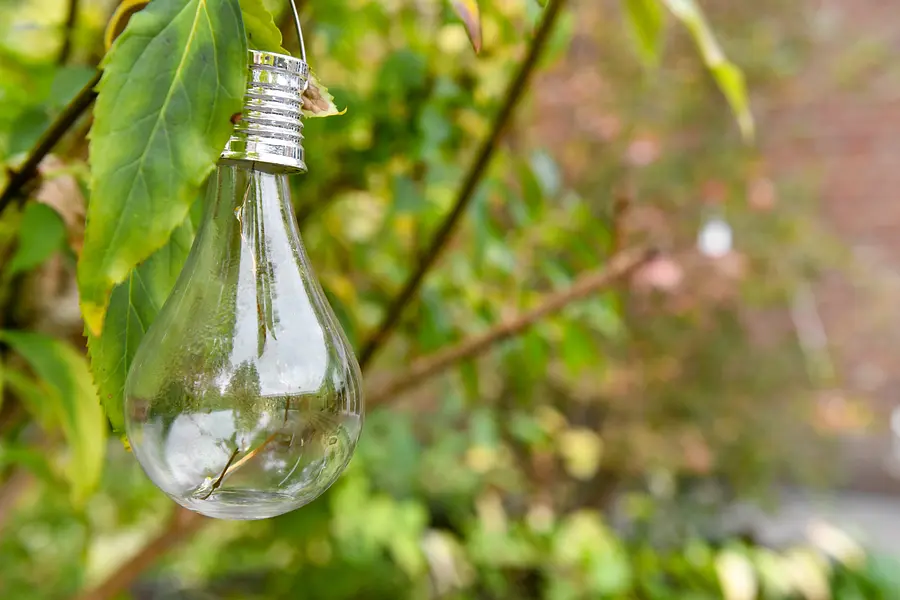 Klimaschutz und Umweltmanagement - Nachhaltig leben und wirtschaften in Beruf und Alltag