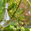 Klimaschutz und Umweltmanagement - Nachhaltig leben und wirtschaften in Beruf und Alltag Klimaschutz und Umweltmanagement - Nachhaltig leben und wirtschaften in Beruf und Alltag