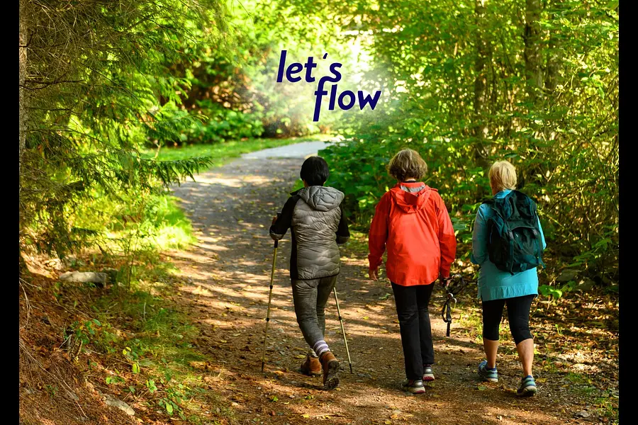 Wandern und Resilienz stärken im Rothaargebirge Wandern und Resilienz stärken im Rothaargebirge