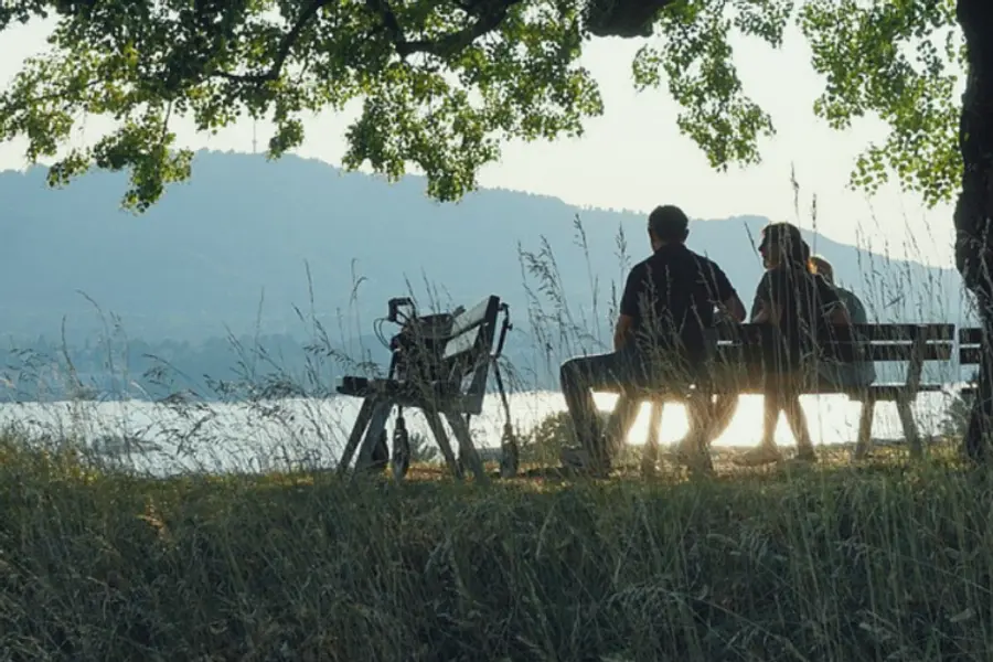 Mit Wald und Stille achtsamer und entspannter den (Berufs-)Alltag gestalten - Barrierefreie Sonderedition (Kleingruppe)