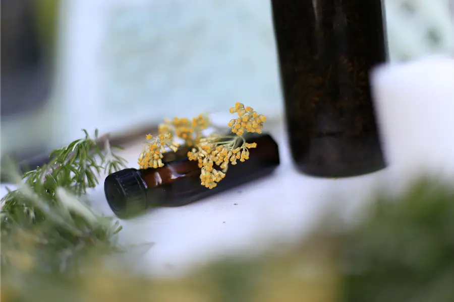 Heilkräuterseminar im Rhythmus der Jahreszeiten - 4x2 Tage 