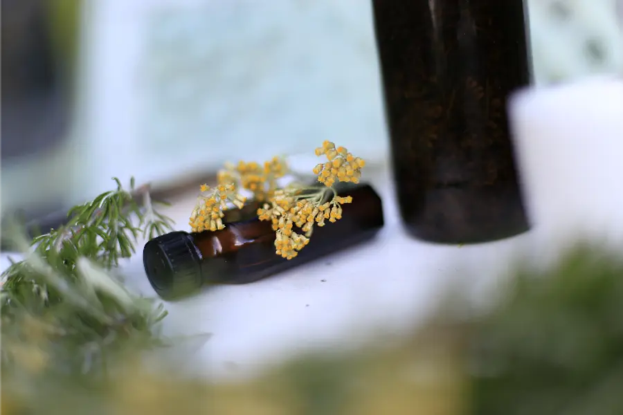 Heilkräuterseminar im Rhythmus der Jahreszeiten - 4x2 Tage 