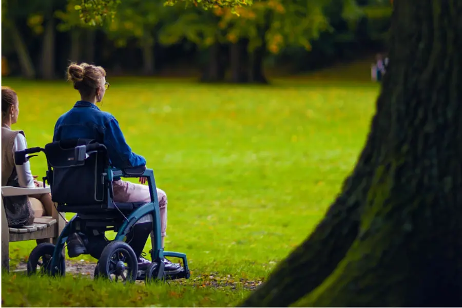 Natur-Resilienz-Training - Finde deinen Weg für mehr Widerstandskraft im beruflichen und privaten Alltag - Barrierefreie Sonderedition (Kleingruppe)