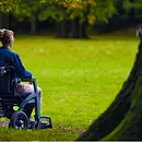 Natur-Resilienz-Training - Finde deinen Weg für mehr Widerstandskraft im beruflichen und privaten Alltag - Barrierefreie Sonderedition (Kleingruppe)