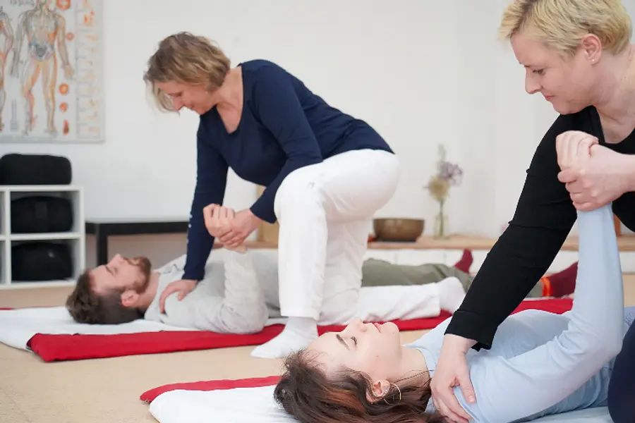 Körperarbeit Shiatsu: Grundlagenkurs Teil 2- die 12 Meridiane komplettieren ( Basis B-Kurs)