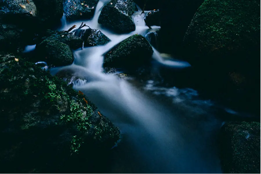 Bildungsreise Harz: Naturfotografie – Basic