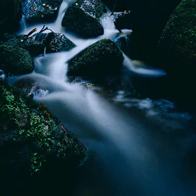 Bildungsreise Harz: Naturfotografie – Basic