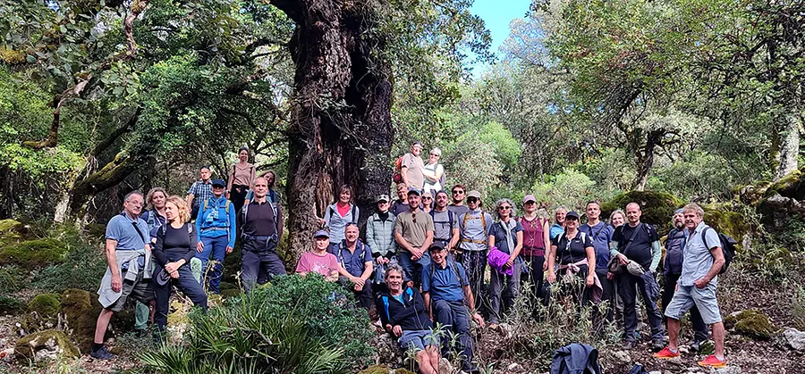 Spanisch-Superintensivkurs für alle Niveaus + Wandern im Naturpark Sierra de Grazalema in Andalusien 1 Woche 2026