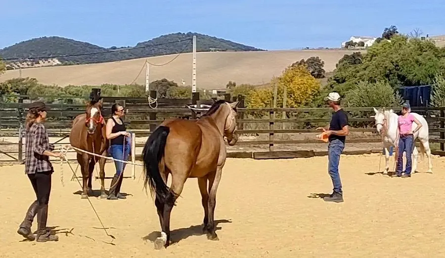 Spanisch & pferdegestütztes Coaching (Bildungsurlaub) 2026
