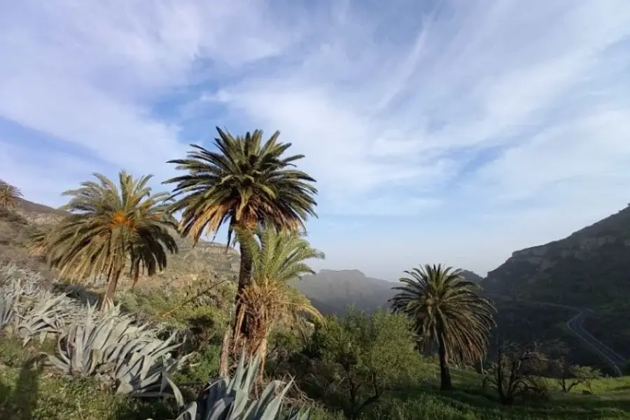 Yoga Woche am Meer auf La Gomera im März 2027