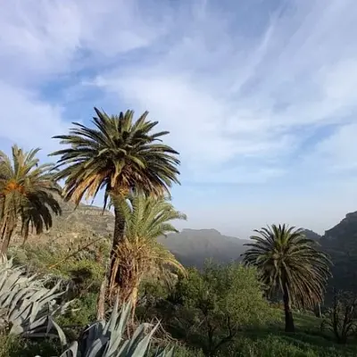 Yoga Woche am Meer auf La Gomera im März 2027