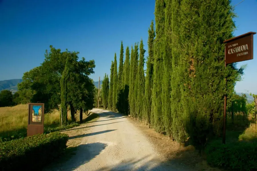 La Dolce Vita-Entspannung und Auftanken für das (Berufs-) Leben im April 2026 in der Toskana