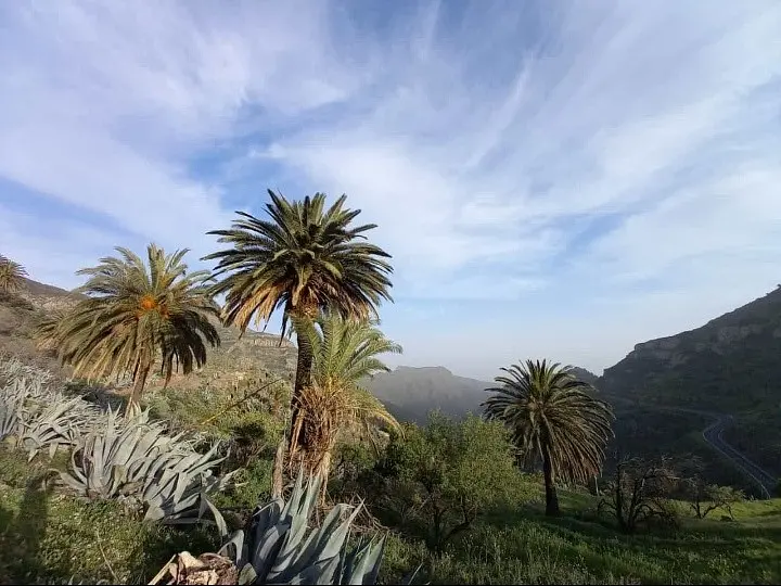 Yoga Woche am Meer auf La Gomera im März 2026 
